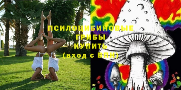 мдма Вяземский