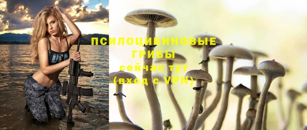 mix Вязьма