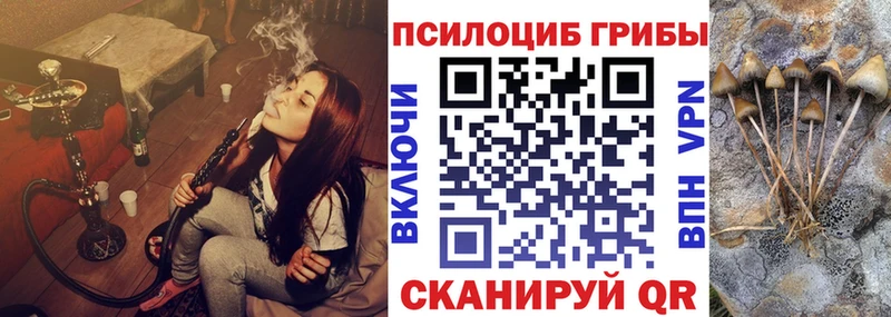 Псилоцибиновые грибы ЛСД  Людиново 