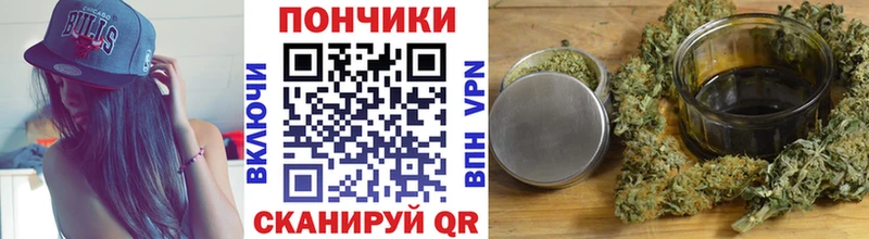 Бошки Шишки план  дарнет шоп  Людиново 